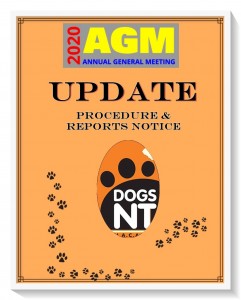 DNT Updates 2020 AGM